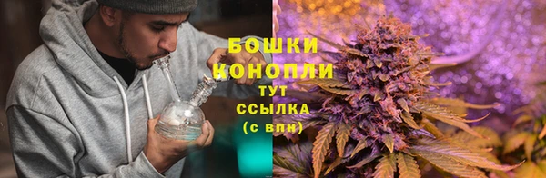 ПСИЛОЦИБИНОВЫЕ ГРИБЫ Абинск