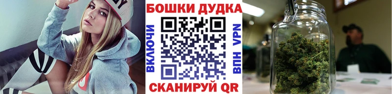 Конопля гибрид  Нолинск 
