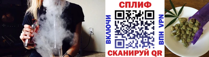 Бошки Шишки планчик Нолинск